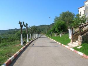 Route du Lac de Reghaia (Alger)