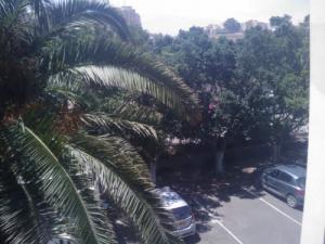 Cité le Caroubier à Alger