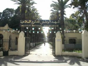 Institut National d'Agronomie à El-Harrach