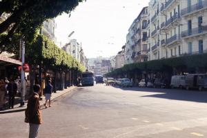 Une allée principale au centre ville d'Alger (Ancienne Image)