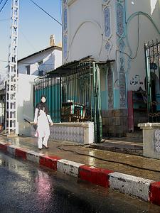 Une rue d'Alger