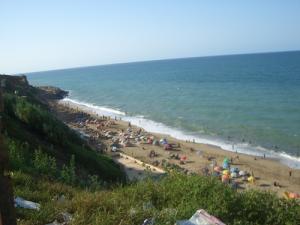 Une Plage d'Alger