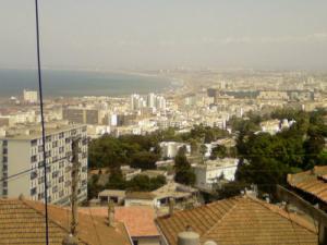 Vue d'Alger