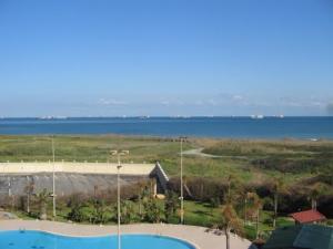 Bateaux voguant sur la côte d'Alger