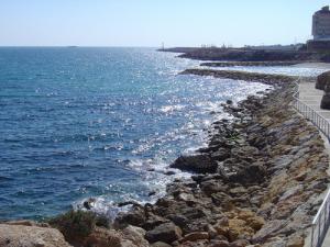Près du Port d'Alger