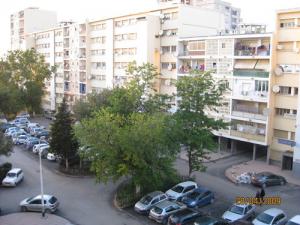 Cité des Asphodèles (Alger)