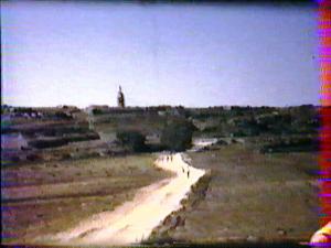 الطريق المؤدي إلى شاطئ بلدية بطيوة