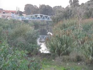 Oued El-Harrach (Aux abords d'Alger)