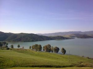 Verdure du Lac de Mohammadia