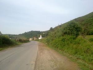 Verdure aux abords d'Alger