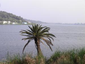Le Lac de Reghaia