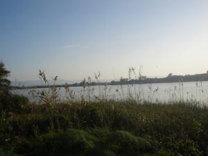 La réserve naturelle du lac de Réghaïa