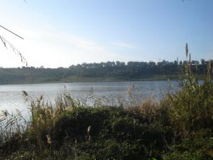 La Réserve Naturelle du Lac de Réghaïa