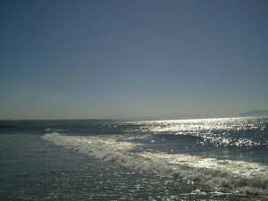 لوحة للشيخ محمد يعقوب محرض الثورة المسلحة ضد الإستعمار في مدينة مليانة (ولاية عين الدفلة)