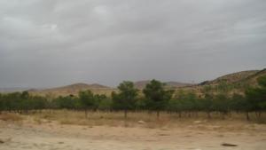 ROUTE NATIONALE 01 LE BARRAGE VERT PROGRAMME DU PRESIDENTT BOUMEDIENE