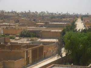 صادق الفحول