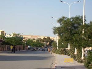 Un boulevard du Centre ville de Djelfa