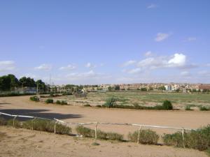 Champ d'équitation à Djelfa