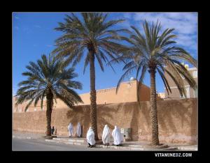 نساء من المزاب بالقرب من سور بني إزڨن