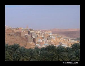 الواحات المحيطة بمدينة بني يزڨن (ولاية غرداية)