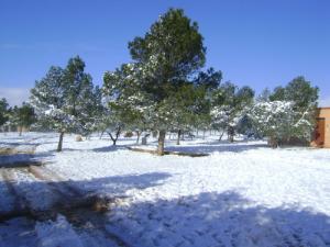 Neige sur la périphérie de Djelfa