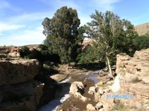 Un cours d'eau à Djelfa