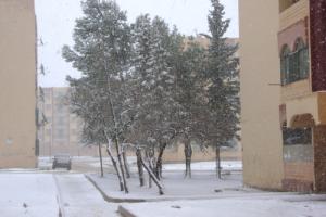 Cité du 5 juillet à Djelfa