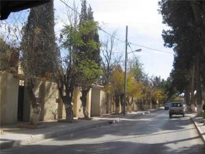Un quartier de Djelfa
