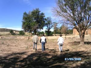 Champ agricole aux alentours de Djelfa