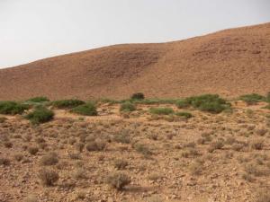 Oued Es saboune (Commune de Deldoul/ Wilaya de Djelfa)