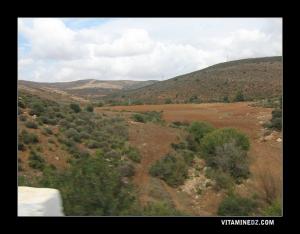 منظر طبيعي من جبل بوجميل