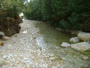 Le Oued Amoura (Wilaya de Djelfa)