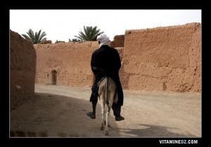 شوارع قرية زاوية الشيخ