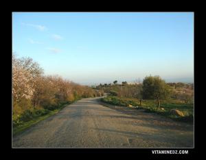 مدخل بلدية بني ورسوس