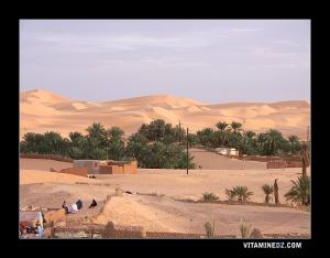 منظر من واحة طالمين