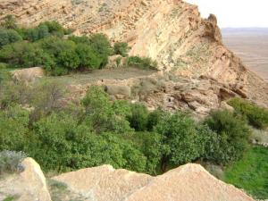 les Vergers terrasses sur les pentes des montagnes de Djelfa