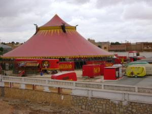 Le Cirque  El Florileggio  à Djelfa