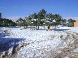 Neige sur la périphérie de Djelfa