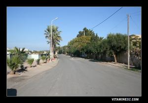 الطريق المؤدي إلى ساحل المنزه