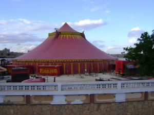 Le Cirque Florileggio à Djelfa