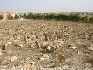un antique cimetière de Djelfa