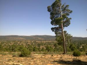 Vue de la Montagne Haouas à Djelfa