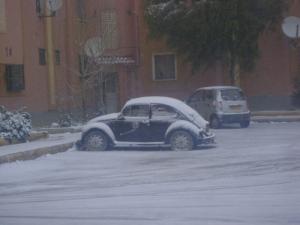 Chute de neige à Djelfa