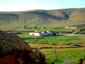 Verdure aux alentours de Djelfa