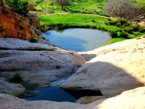 Paysage aux alentours de Djelfa