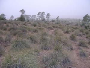 Aux alentours de Djelfa