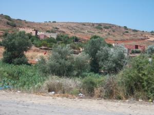 على الحدود الجزائرية المغربية