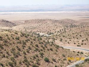 Cordon Dunaire a l'horizon