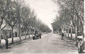 شارع الأخوان بلعرج في الخمسينات