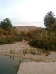 Paysage Semi Saharien (Commune de Selmana)